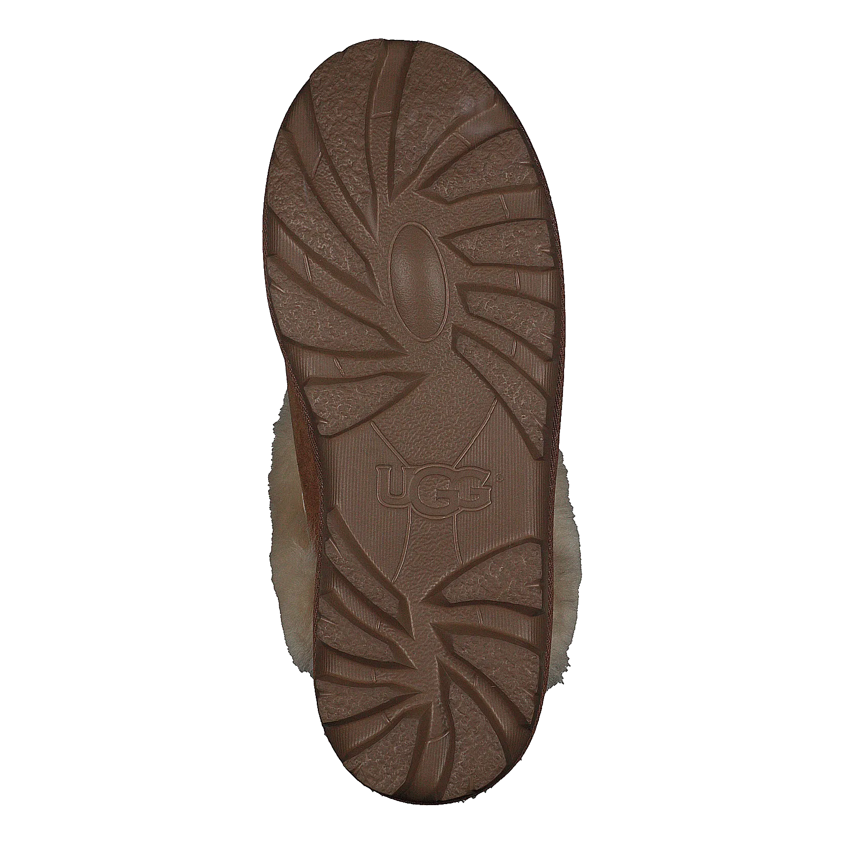 Coquette Chestnut