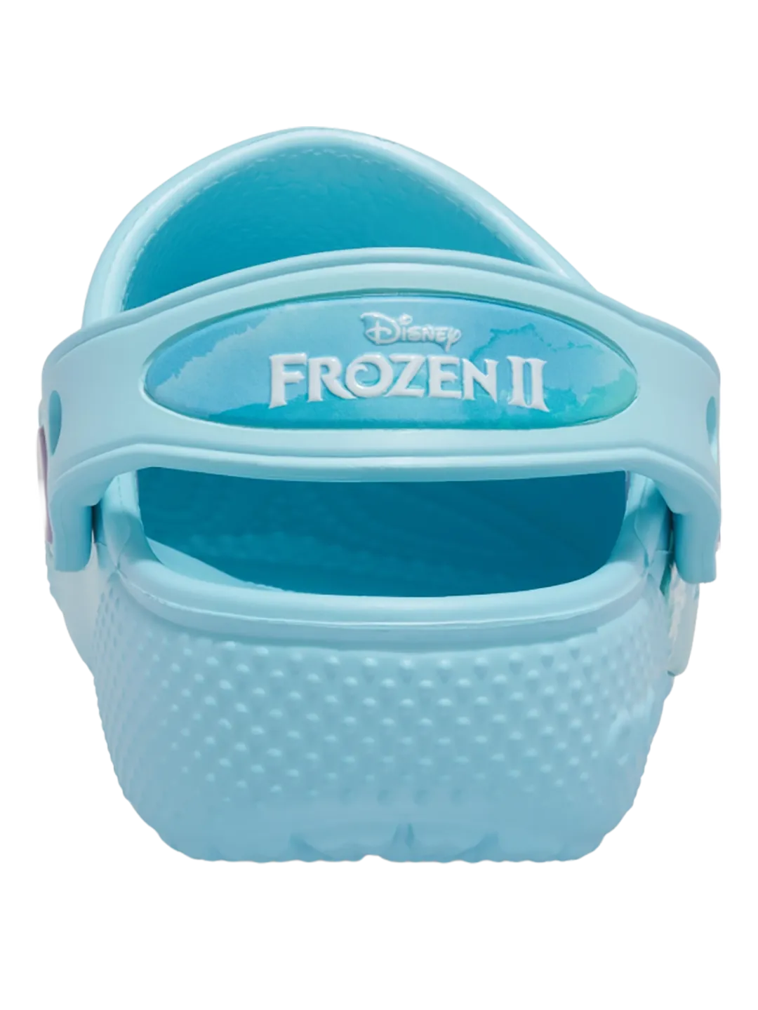 Fldisneyfrozeniiclog K