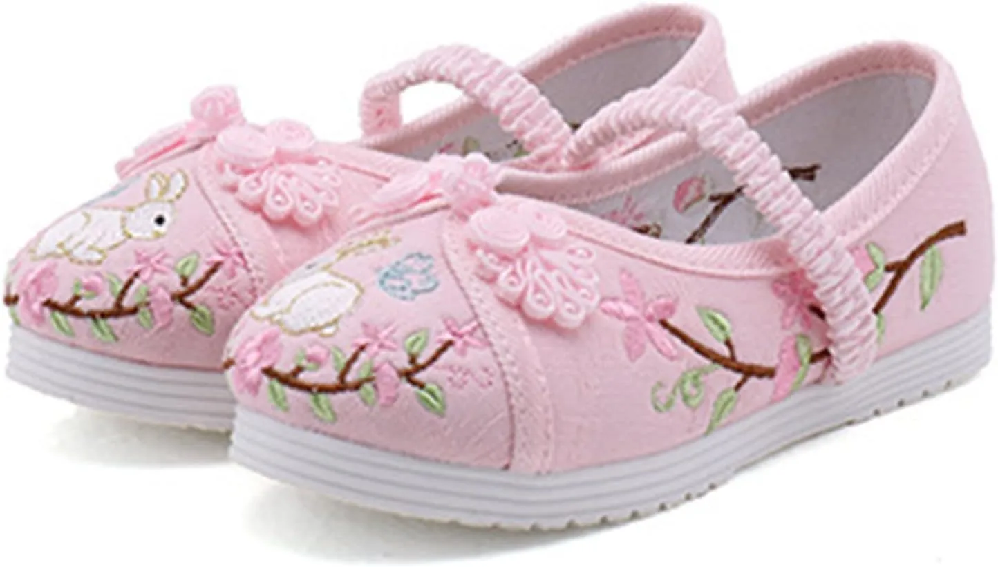 Girl Mary Jane Dance Shoes Chinese Traditional Floral Butterfly Embroidery Shoes Dress Ballet Flats