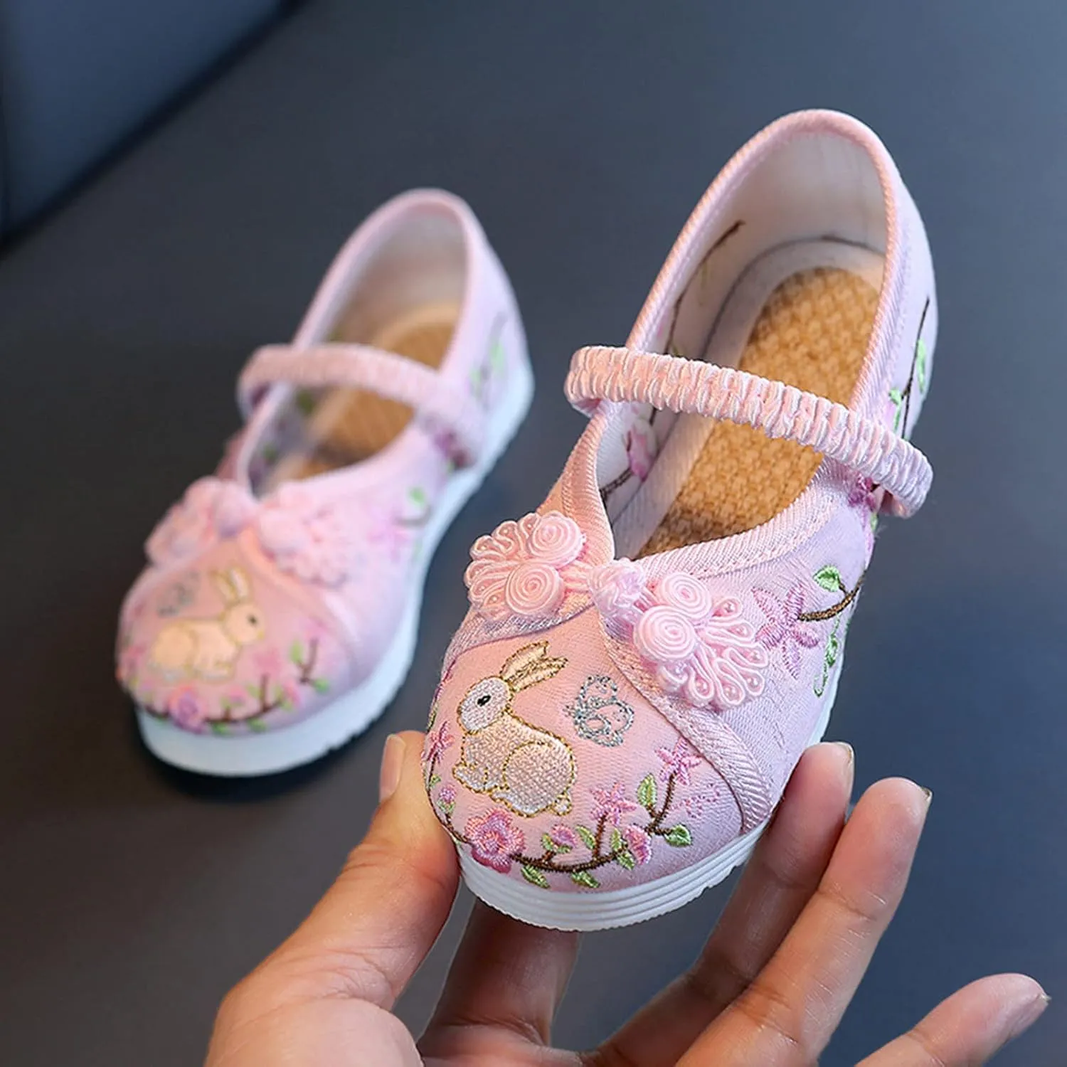 Girl Mary Jane Dance Shoes Chinese Traditional Floral Butterfly Embroidery Shoes Dress Ballet Flats