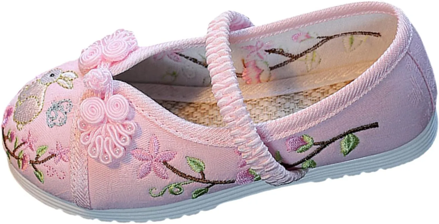 Girl Mary Jane Dance Shoes Chinese Traditional Floral Butterfly Embroidery Shoes Dress Ballet Flats