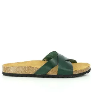 Plakton 105317 Green Slides