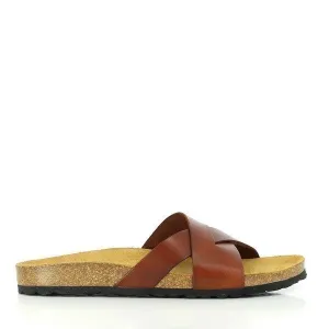 Plakton 105317 Light Brown Slides