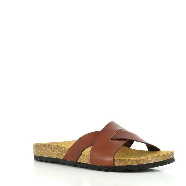 Plakton 105317 Light Brown Slides