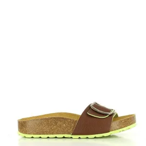 Plakton 341018 Brown & Yellow Slides