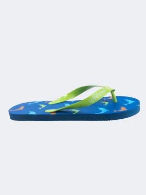 Stamion Dolphins Pe Boys Beach Slippers Blue